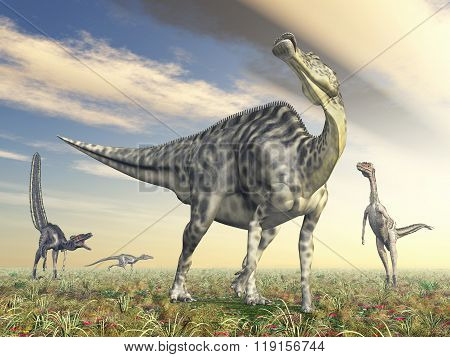 Velafrons and Velociraptor