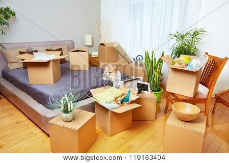 Moving boxes in new house.