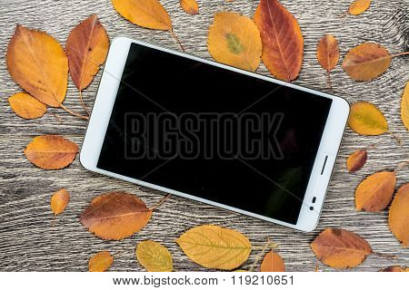 gadget on wood and leaves