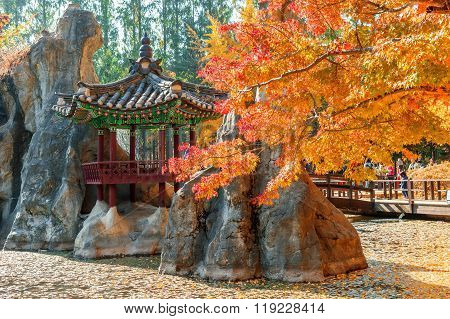 Autumn Trees In Nami Island, Korea.