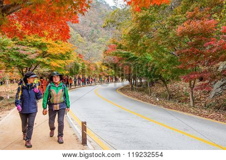 Tourists taking photos of the beautiful scenery around Naejangsan park,South Korea.