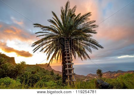La Gomera island lanscape view