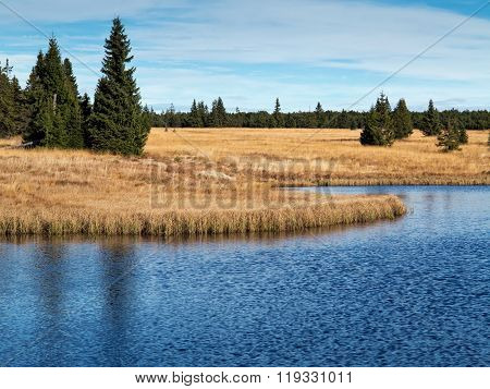 Dead pond is surrounded by woods approximately three kilometers northeast of Hrebecna. By the dark color of the water caused by the surrounding peat is sometimes called the Black Pond. The Ore Mountains Czech republic.