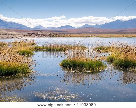 Lake in the Andes