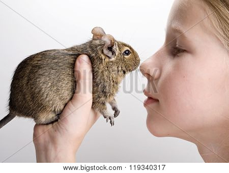 Girl With Degu