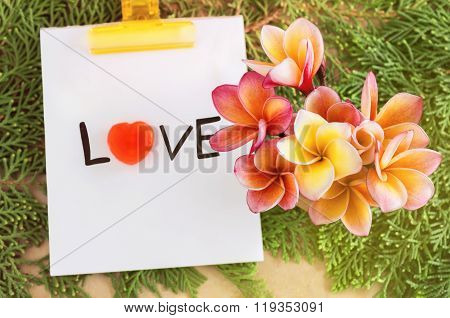 Flowers Bouque With Text Love On Green Pine Leaf Background
