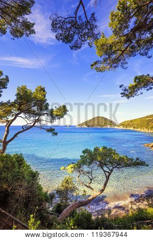 Elba Island Sea, Portoferraio Viticcio Beach Coast And Trees. Tuscany, Italy.