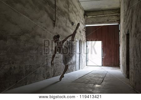Gracefull allerina indoors