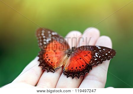 Beautiful colorful butterfly sitting on female hand, close-up