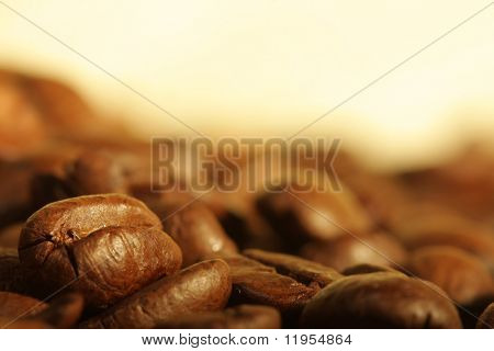กองเมล็ดกาแฟ