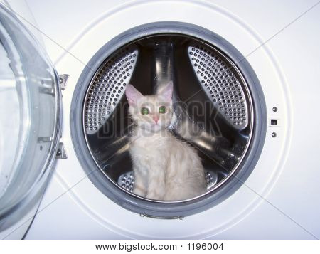 Laundering