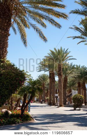 Eilat Street