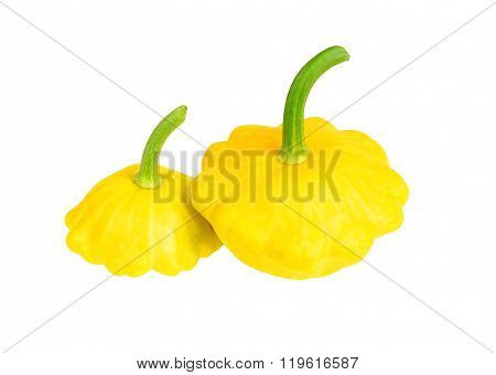 Scalloped Custard Squash (cucurbita Pepo Var. Patisson)