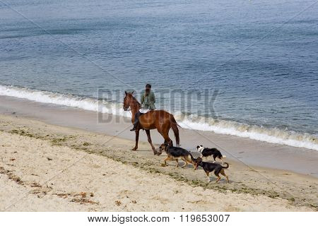 BAIONA, GALICIA, SPAIN - AUGUST 26: young woman riding a horse with her dogs at the beach, on August 26, 2015 in Baiona, Galicia, Spain