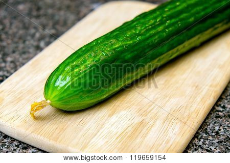 Cucumber