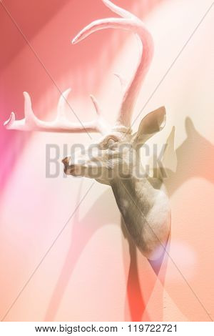White deer head as a decoration for the interior. No violence against animals.