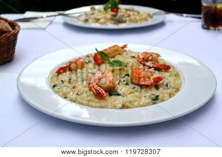 Tasty risotto with tiger prawns and special Arborio rice