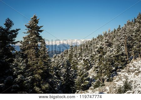 Sunny Snowy Weather On Mount Parnassos, Central Greece