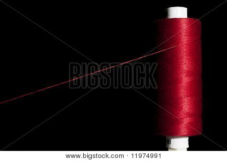Filo rosso