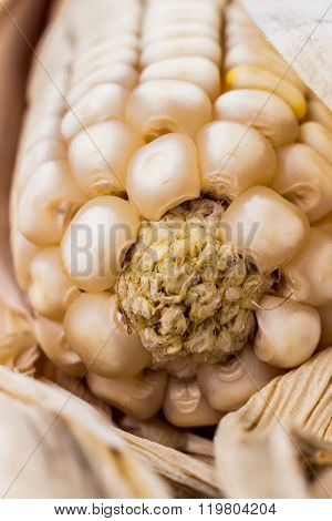 Corn