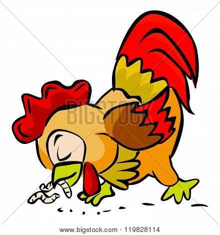 Rooster eating worm