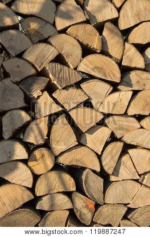 Dry, Cracked Tree, Ready For Firewood In Winter