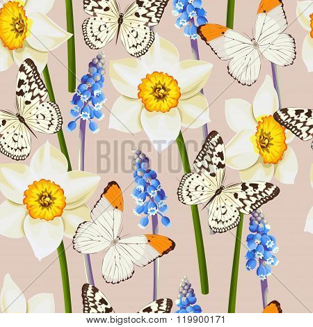 Daffodil and muscari vector seamless background