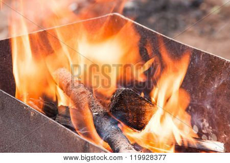 Conflagrant Firewoods For Preparation Of Shashlick