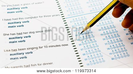 Questions And Answer Sheet For English Auxiliary Verb Test