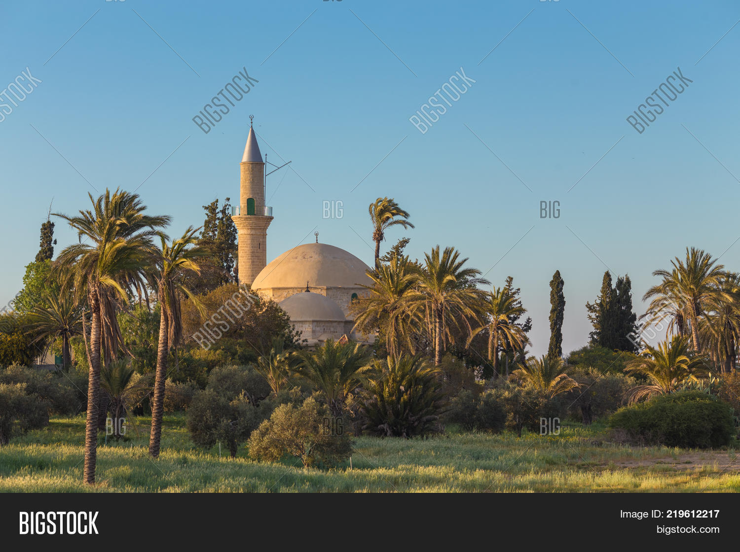 Hala Sultan Tekke 11. Trial Trenches at Dromolaxia-Vyzakia Adjacent to Areas 6 and 8.
