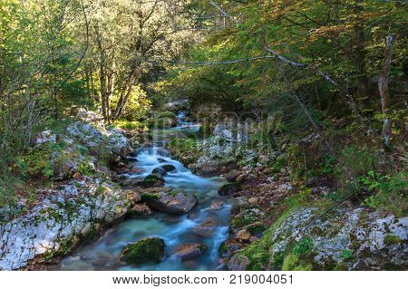 Mountain stream in the Lepena valley in Slovenia