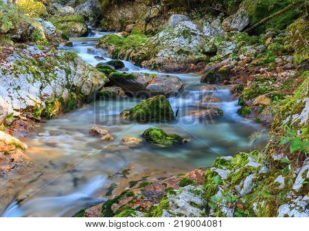 Mountain stream in the Lepena valley in Slovenia