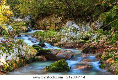 Mountain stream in the Lepena valley in Slovenia