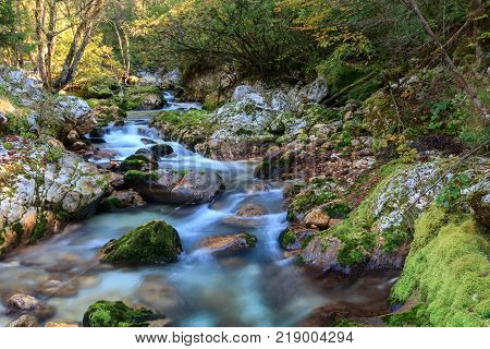 Mountain stream in the Lepena valley in Slovenia