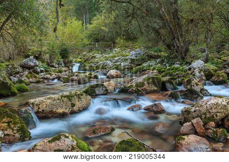 Mountain stream in the Lepena valley in Slovenia