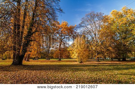 autumn castle park Budatin near by Zilina Slovakia central Europe Zilina