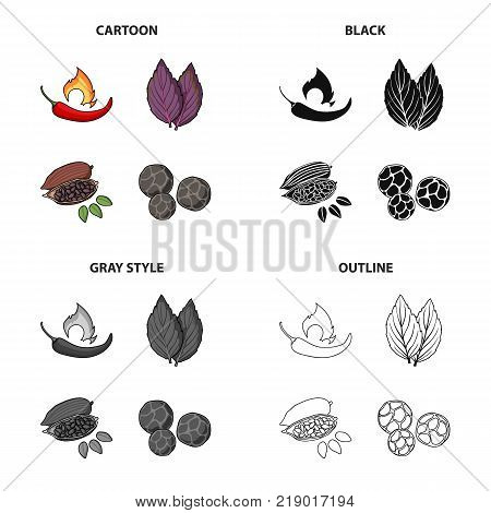 Chili pepper, spice basil, coffee beans, black pepper. Spices set collection icons in cartoon black monochrome outline style vector symbol stock illustration .