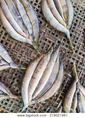 Fresh spiny fish for dried on the bamboo basket in the fisherman housecountryside of Thailand.