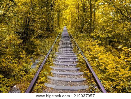 Love Tunnel