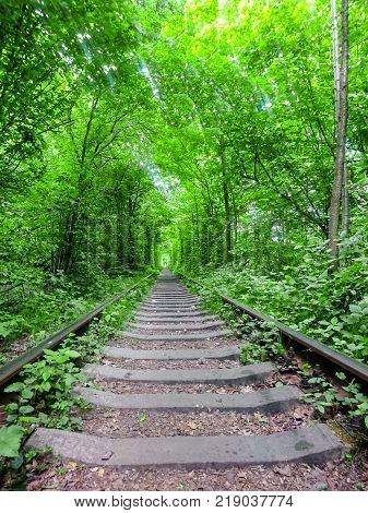 Love Tunnel