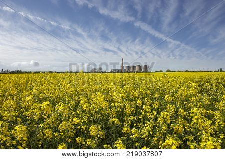 Eggborough Power Station With Field Of Rape Seed Yorkshire England