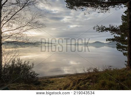 Nice image of the fog over the fjord in Kristiansand, with trees and grass in front