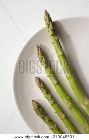 FRESH ASPARAGUS TIPS ARRANGED ON WHITE PLATE