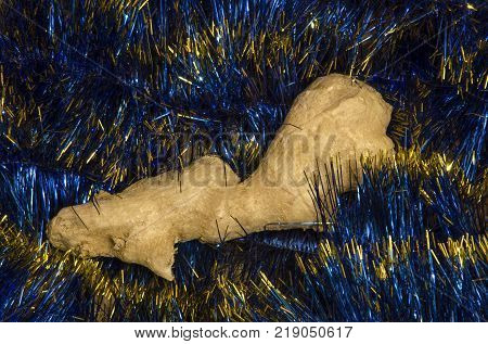The root of ginger lies surrounded by a new rain.