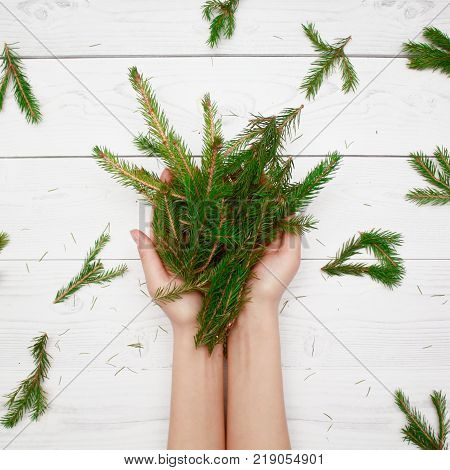 Christmas composition. Fir branches. Top view conifer tree