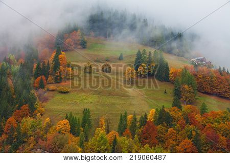 Colorful autumn landscape in the mountain village morning in Dolimites. Selva di Cadore. Selva di Cadore is a comune municipality in the province of Belluno in the Italian region of Venetonorthwest of Belluno.