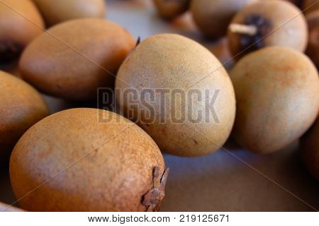 There Are Sapodilla Fruit In Thailand. These Fruit Have Sweet Favor.