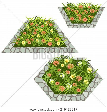 Set of flowers to create garden scene. Chamomiles yellow and orange flowers in grass composed in flowerbed with stone border. Vector illustration isolated on white background