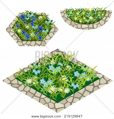 Set of flowers to create garden scene. Chamomiles cornflowers and other flowers in grass composed in flowerbed with stone border. Vector illustration isolated on white background