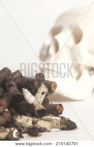 Skull and cigarette butts on white .Smoking kills